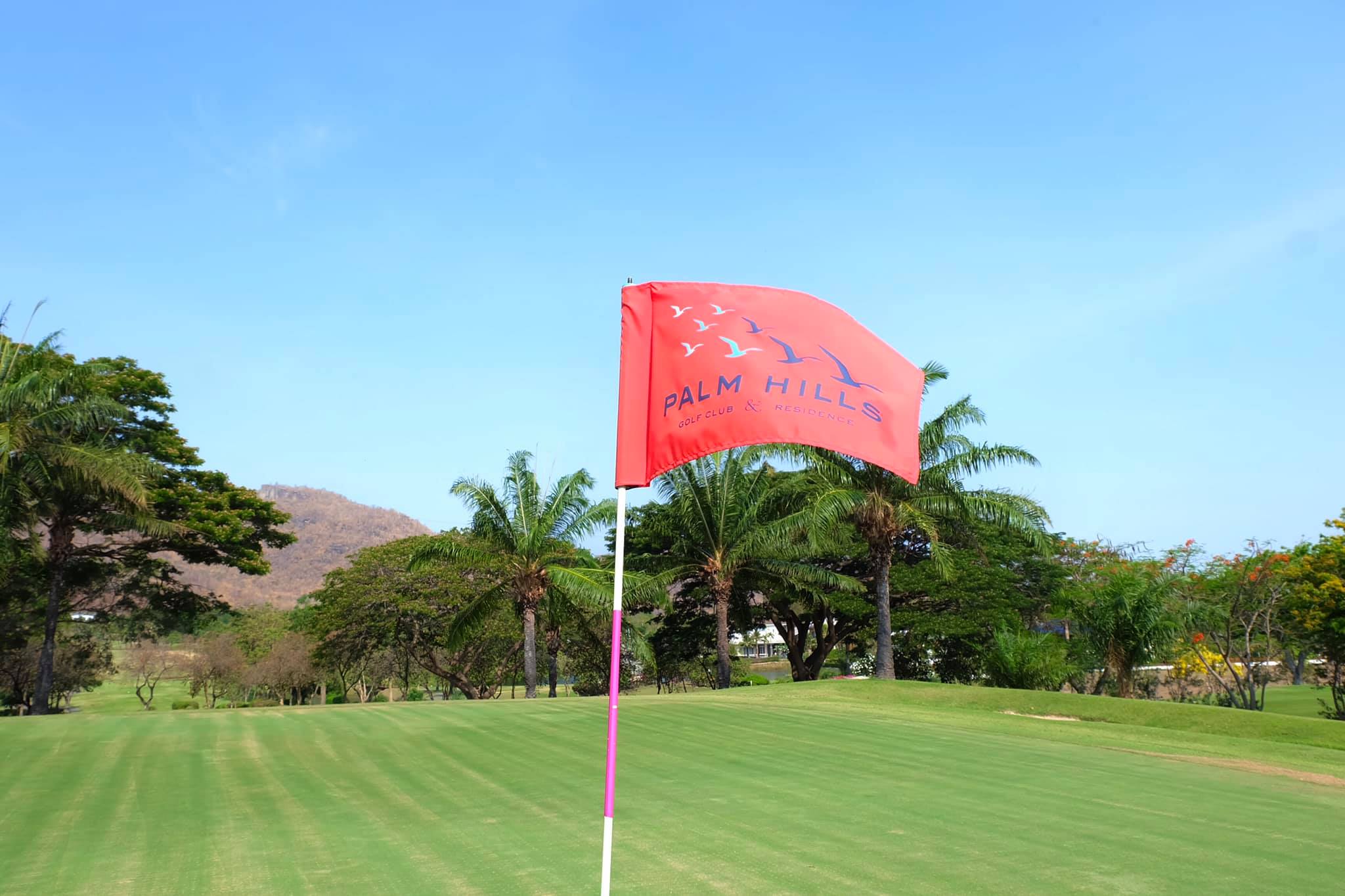 Palm Hills Golf Club /