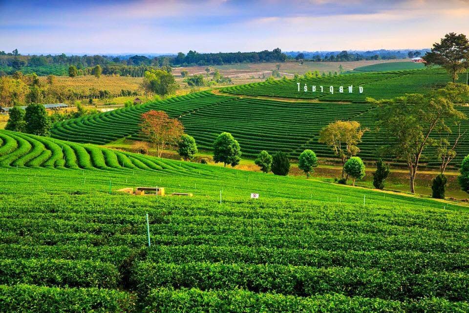 치앙마이 원데이 투어 8