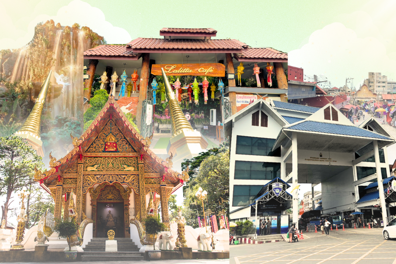 공항/교통역 픽업 & 도이퉁 궁전 & 매사이 시장 & 라리타 카페