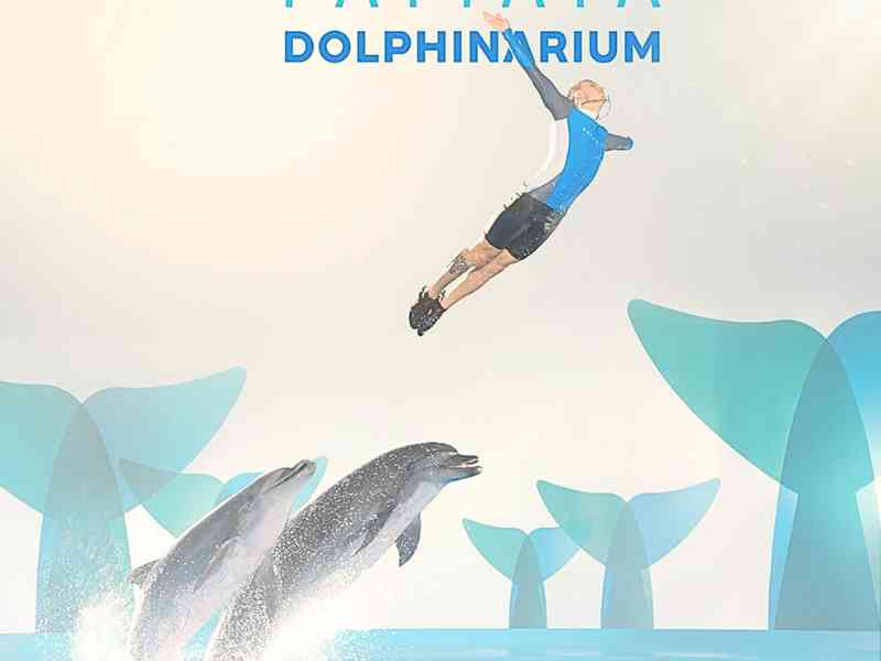 Pattaya Dolphinarium