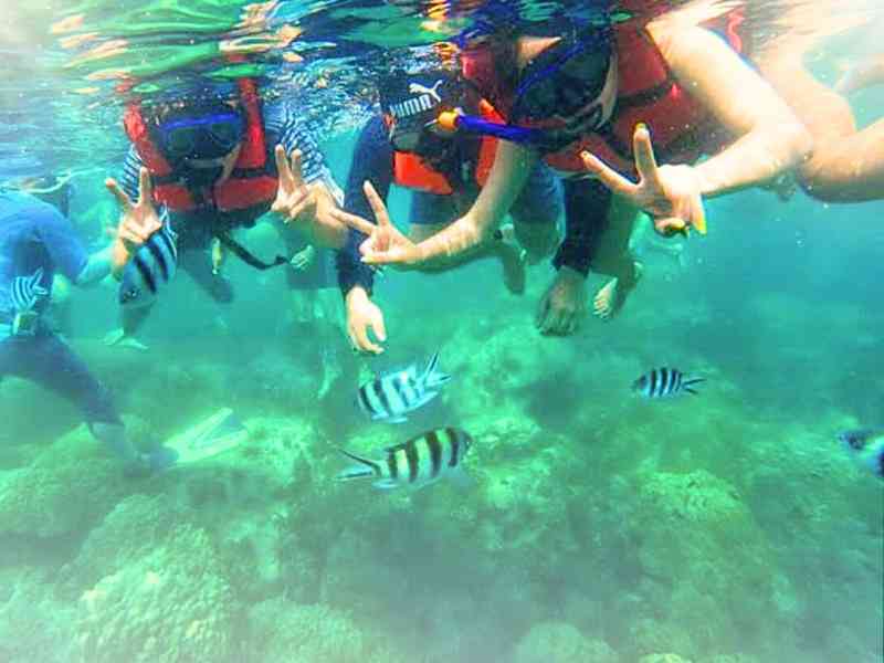 Snorkeling