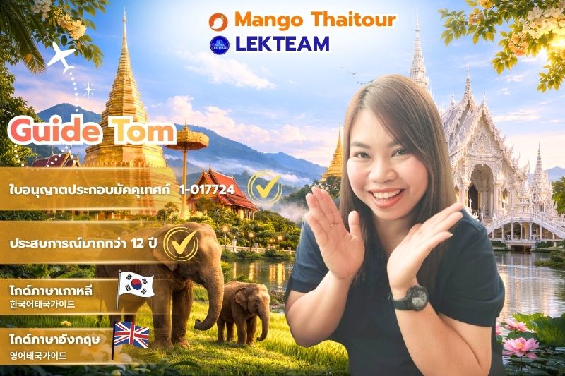 Guide Tomtom