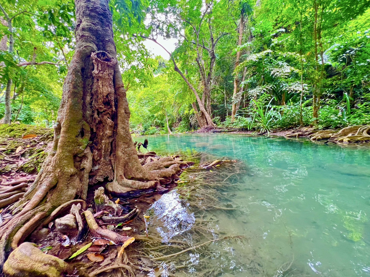 깐짜나부리 하이라이트 당일 투어