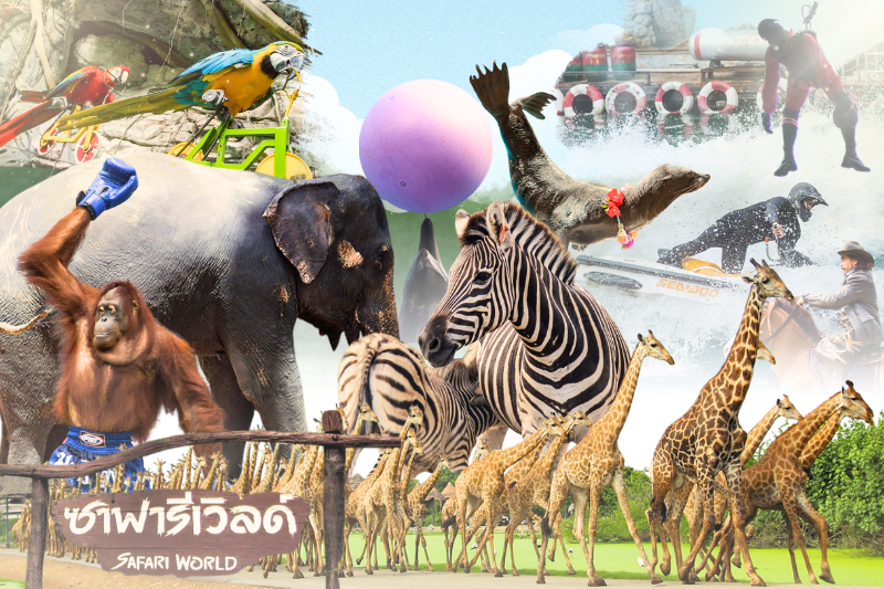 [일일 투어] 사파리 월드