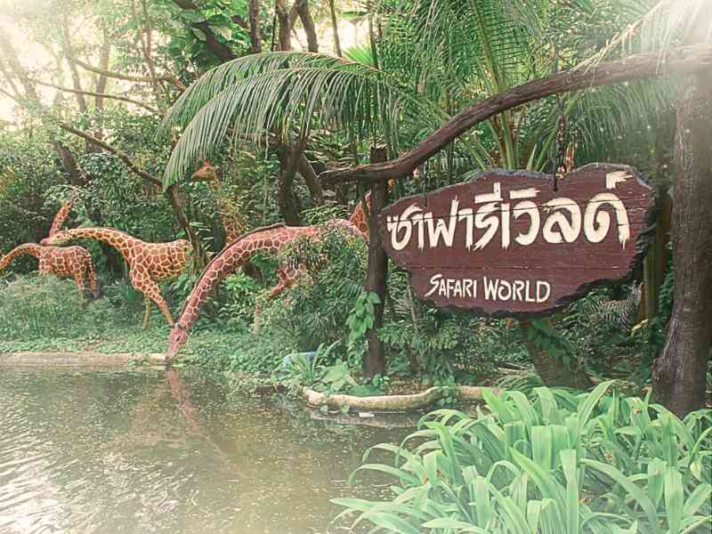 Safari world