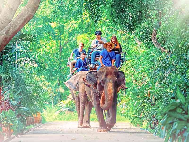 Samphran Elephant Ground & Zoo