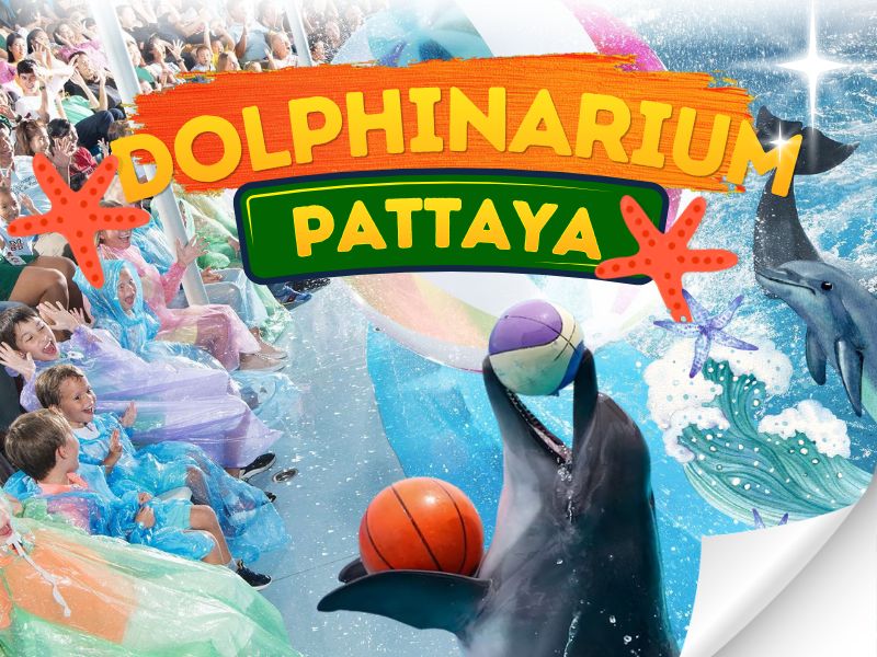 Pattaya Dolphinarium
