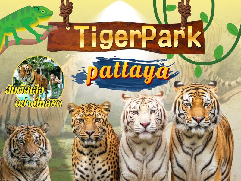 Tiger Park Pattaya