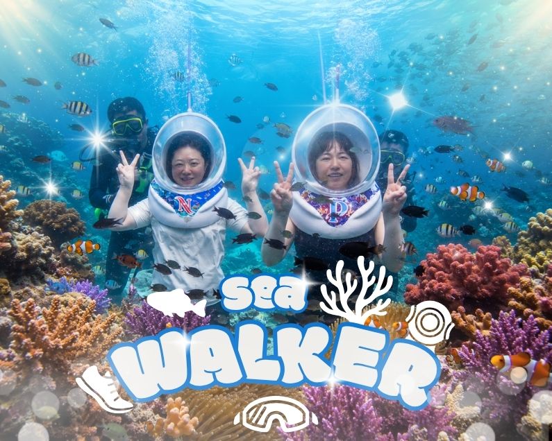 파타야 씨워커 – 코란섬 (Sea Walker Pattaya – Koh Larn) 🚶‍♂️🌊