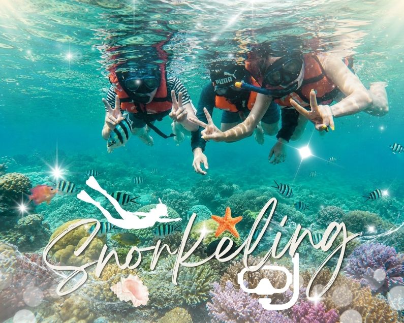 파타야 스노클링 – 코란섬 (Snorkeling Pattaya – Koh Larn)