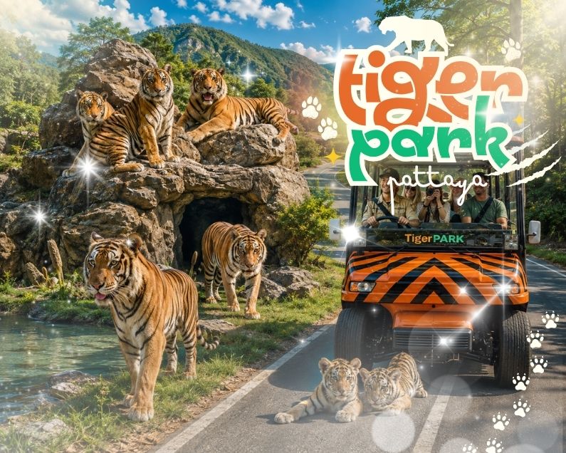 타이거 파크 파타야 (Tiger Park Pattaya) 🦁🐘