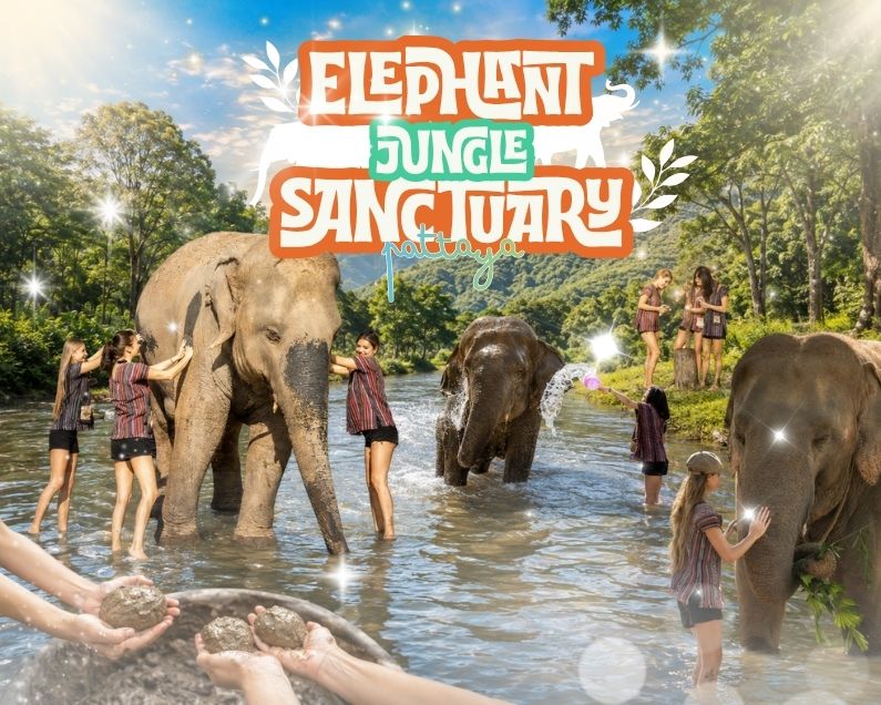 엘리펀트 정글 생추어리 파타야 (Elephant Jungle Sanctuary Pattaya) 🐘💦